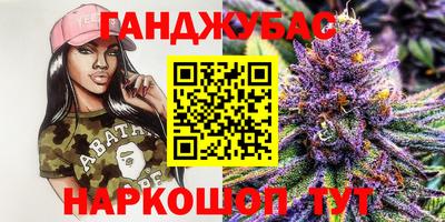 мдпв Будённовск